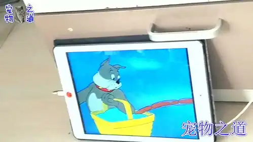 小朋友表情包gif无水印