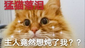  在墓土烤螃蟹是什么体会硬刚皮皮虾是什么下场