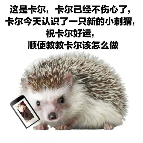 哪里来的妖孽表情包竹节
