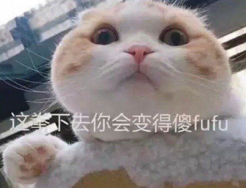 猫爪系列表情包沙雕