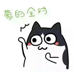  在一个安静的地方安静的学习吧