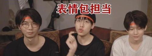  b站up主阴阳怪气之表面兄弟,老番茄被针对,中国boy表情层出不穷
