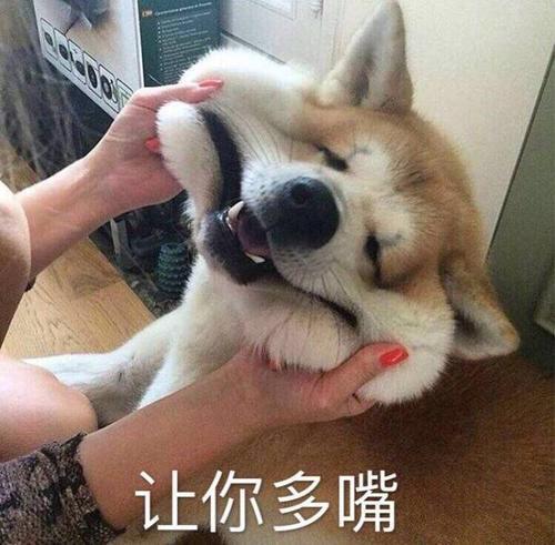  伽罗瓦原谅我一生不羁爱自由