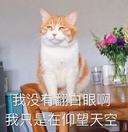  体感50龙南上蒸下煮停不下来,高温将持续到...