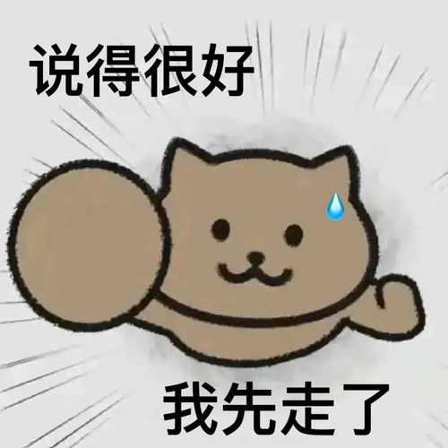  热门表情包动图收藏起来吧