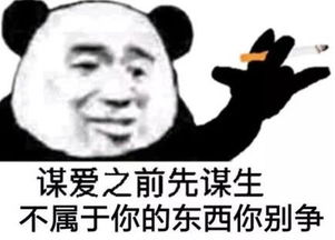  皮出天际的聊天表情朋友,我都笑了,你真有意思