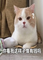  你看我这样子像有钱吗表情包好玩吗你看我这样子像有钱吗表情包怎么玩用户评论
