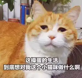  面对王菲那英的20年,我们在怀念什么