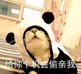 算我求你的表情包猫你走