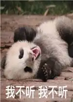 看戏表情包图片大全大熊