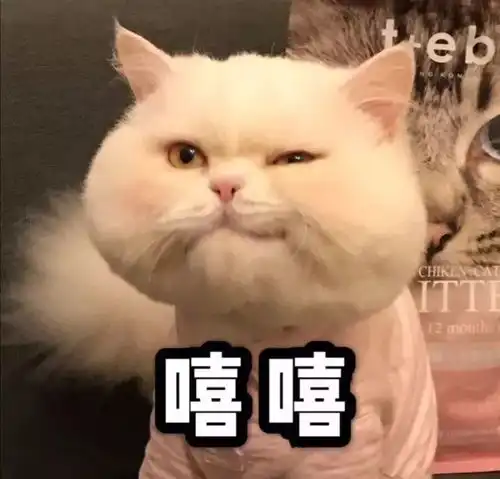  表情包