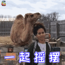  2018年,你一定被这十首歌逼疯过