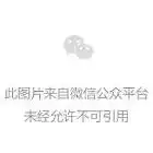  文汇文化视点哪吒之魔童闹海过誉了吗那就请中国动画这样卷起来