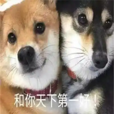  很搞笑的萌萌聊天表情