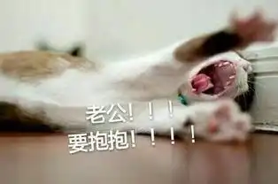  可爱小猫表情包