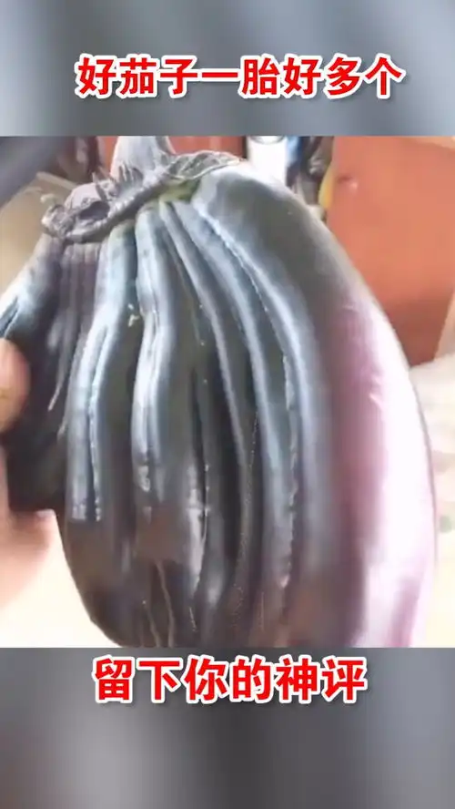  笑死人不偿命我这买到的到底是假茄子还是假香蕉啊
