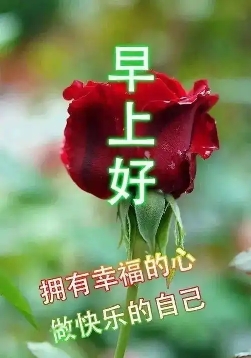 2021最新早上好图片带字表情包祝福,祝大家天天好运平安健康幸福  2021最新早上好图片带字表情包祝福,祝大家天天好运平安健康幸福