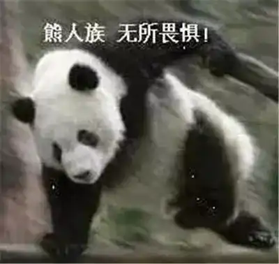  指尖上的梦想不一样的panda君