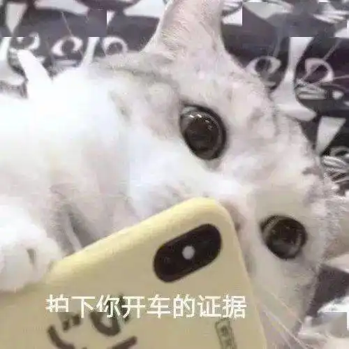  聊天表情包丨朋友网恋吗