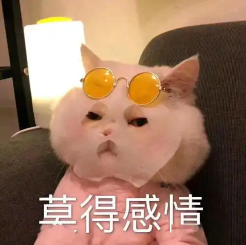好方表情包傅丽灵