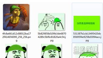  当然是选择原谅她啊表情包当然是选择原谅她啊图片v2017高清版软件下载