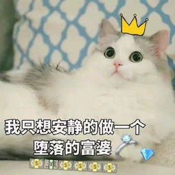  大荒惊现暗黑麻将馆,世界频道都炸了