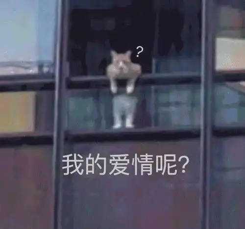 专升本里最累的十大专业,忙到没时间恋爱 专升本里最累的十大专业,忙到没时间恋爱