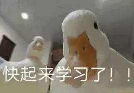 对不起鸭的表情包鞠躬礼