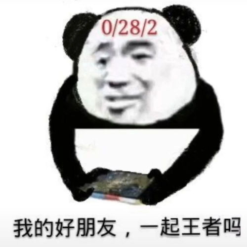老实人表情包熊猫野王