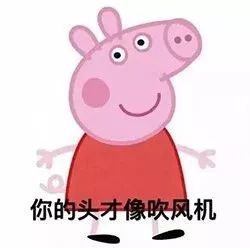 猪脑袋表情包