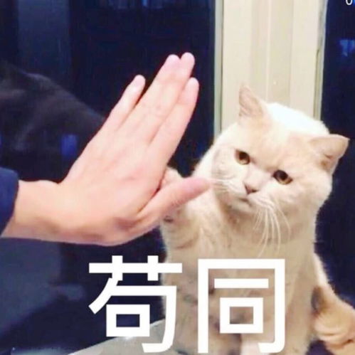  每日一笑记得有次我叔和婶吵架,晚上被赶了出来跑到我家来了