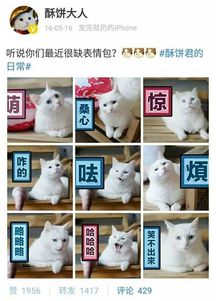  表情包都成了发家致富的新门路,你却只会斗图