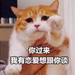  撩小哥哥用的表情包我混世大魔王,申请做你的小熊软糖