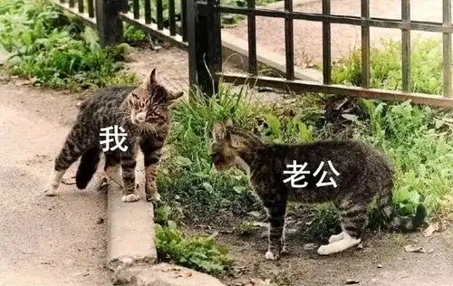  一份2018宝妈的年终总结字字戳心你也是这样吗