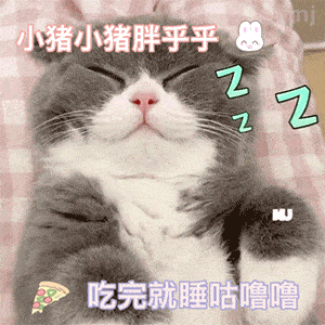 表情包动图值得收藏的表情包