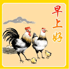  最新问候表情包