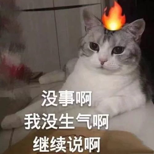  100张热门表情包