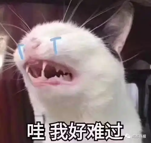  期末送命题答对不给分,答错扣41分网友幸亏毕业的早
