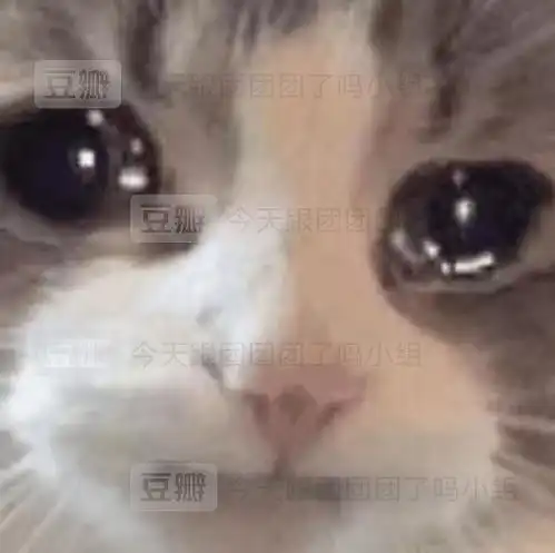 中老年人表情包素材表情