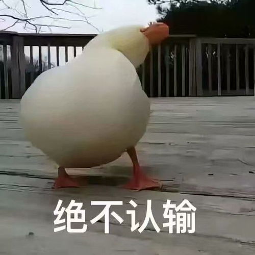  为什么会有些人说市场走错了,行情错了