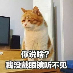  抖音超火斗图表情包你说啥我没带眼镜听不见