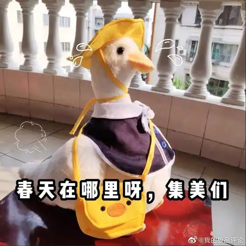 淘宝表情包微信上这届