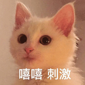  今日份沙雕表情包给你面子,你适度可以吗