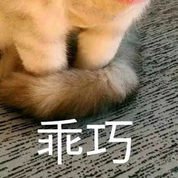  艾琳,我想要周边