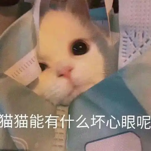 已有视频做激萌表情包不