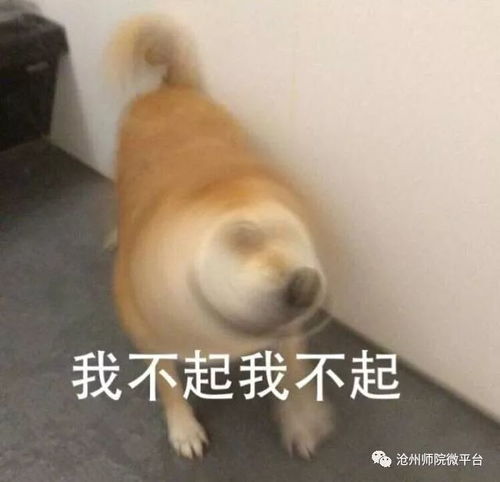  嘘这有份武林秘籍交给你