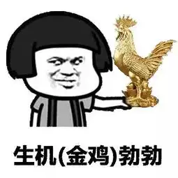  嘿嘿,鸡年就是要用鸡年表情包知道你们想要