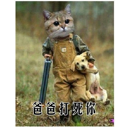  哦行吧,感情淡了近期斗图表情包精选2019530斗图表情