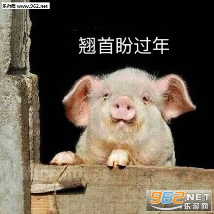  失去理想郁郁寡欢表情图片吃我一记喵喵拳表情包下载乐游网游戏下载