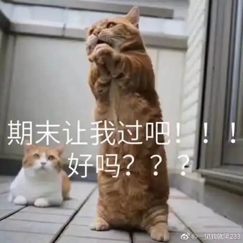  期末考试快到了,你复习了吗